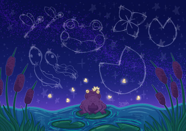 Frog Constellations